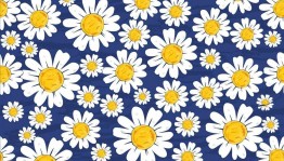 Фестиваль прикладного искусства «Волшебство ромашкового мира»