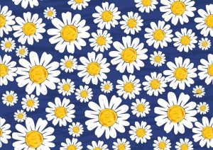 Фестиваль прикладного искусства «Волшебство ромашкового мира»