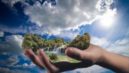 Инфоповод «Природа и мы»