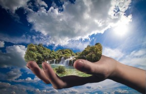 Инфоповод «Природа и мы»