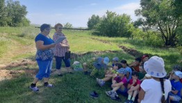 Экологический калейдоскоп «Удивительное в мире природы»