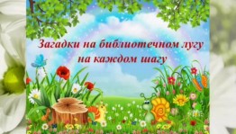 Игровая программа «Загадки на библиотечном лугу на каждом шагу»