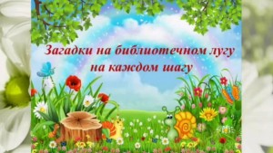 Игровая программа «Загадки на библиотечном лугу на каждом шагу»