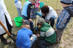 Акция «Посади свое деревце»