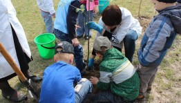 Акция «Посади свое деревце»