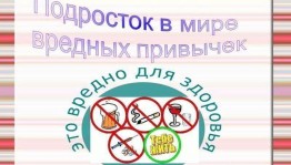 Информационный час «Подросток в мире вредных привычек»