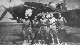 Виртуальная книжная выставка «Крылатые стражи России»