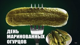 Выставка ДПИ«День маринованных огурцов».