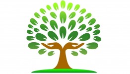 Познавательная программа «Дерево корнями сильно»