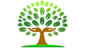 Познавательная программа «Дерево корнями сильно»