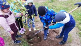 Экологическая акция «Посади дерево»