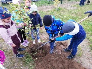 Экологическая акция «Посади дерево»