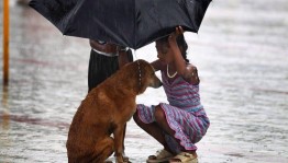 «Доброта: достоинство или недостаток»