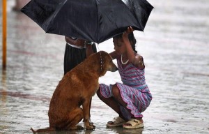«Доброта: достоинство или недостаток»