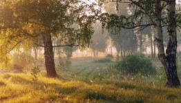 Игровая программа «Вот и лето прошло»