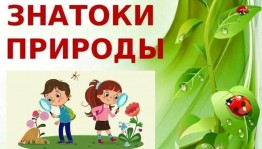 Сюрпризы дремучего леса
