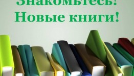 «Книжные новинки к Новому году»