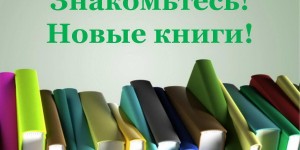 «Книжные новинки к Новому году»