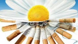 Акция «Мы за здоровье»