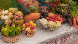 Ярмарка «Щедрая осень»