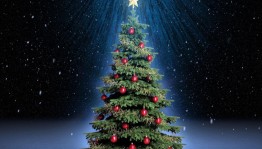 Конкурс рисунков «Новогодняя елка»