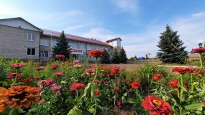 Познавательная программа «Берегите природу»