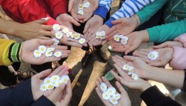 Конкурсная программа «Ромашковое настроение»