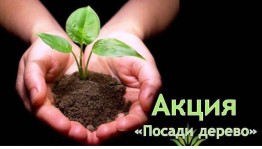 Акция посади «Посади дерево»