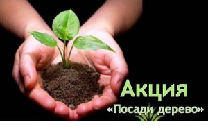 Акция посади «Посади дерево»