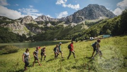Экскурсия «Подружиться с природой!»