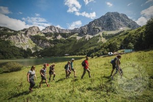 Экскурсия «Подружиться с природой!»