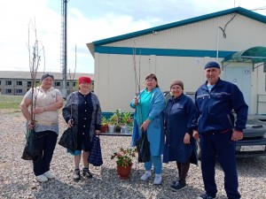 Целительная сила растений Час информации …