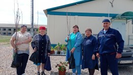 Целительная сила растений Час информации …