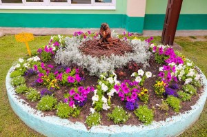 Конкурс«Лучший цветник»