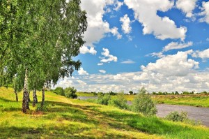 Познавательная программа «Родной земли очарованье»