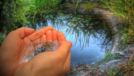 «Возвращение к истокам»