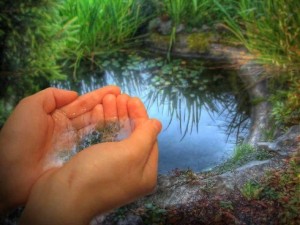 «Возвращение к истокам»