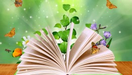 Летний читальный зал «Моя семья», приуроченный ко Дню семьи, любви и верности