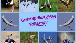 «Всемирный день журавля»