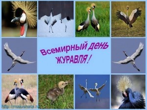 «Всемирный день журавля»