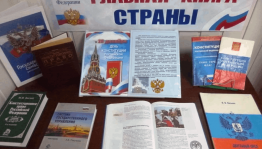 Информационная беседа «Главный закон страны»
