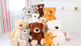 Развлекательна программа Миша, мишка, медвежонок –друг мальчишек и девчонок