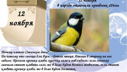 познавательный час«Синичкин день».Викторина.