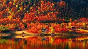 Выставка поделок «Осень во всей красе»