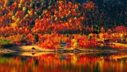 Выставка поделок «Осень во всей красе»