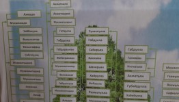 «Узнай свою историю! Моя родословная»