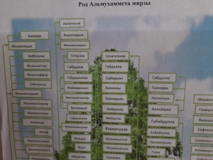 «Узнай свою историю! Моя родословная»