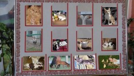 Фотовыставка «Любимые питомцы!»