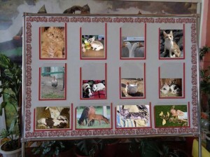 Фотовыставка «Любимые питомцы!»