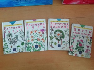 «Тайна зеленой страны» Викторина